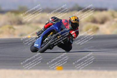 media/Nov-11-2023-SoCal Trackdays (Sat) [[efd63766ff]]/Turn 16 (11am)/